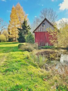 Außen-Rückseite-708A3146-A7BA-41B4-842F-968D6587ED8E