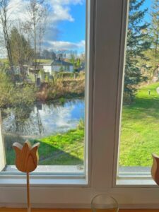 Blick-aus-Fenster-B6A18603-4EF7-4B50-A05B-6B0B93D06DF9