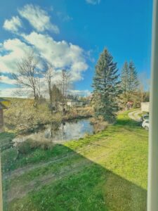 Blick-aus-Fenster-Teich-29530D3C-4445-4CD6-A5C1-105F70EAD52C