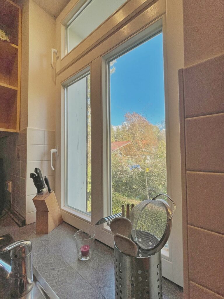 Blick nach draußen von der Küche